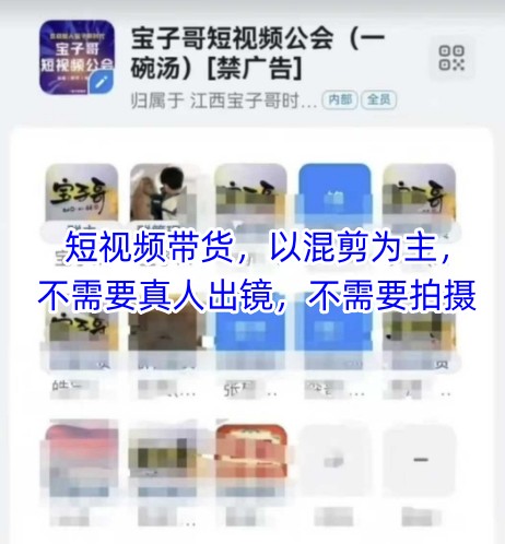 宝子哥头部团队短视频带货，以混剪为主，不需要真人出镜，不需要拍摄【更新11月】-一世倾承云网创