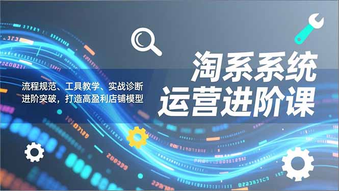 淘系系统运营进阶课2.0，流程规范、工具教学、实战诊断，进阶突破，打造高盈利店铺模型-一世倾承云网创