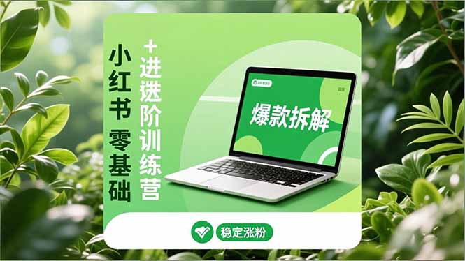 小红书零基础+高阶训练营：安全养号、爆款拆解、长效运营，实现稳定涨粉与变现-一世倾承云网创