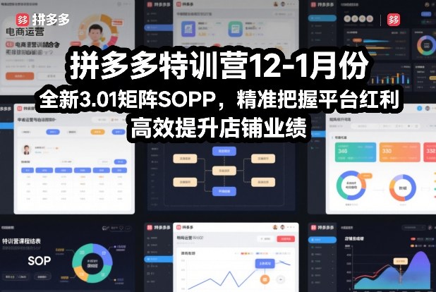 拼多多特训营12-1月份，全新3.01矩阵Sop，精准把握平台红利，高效提升店铺业绩-一世倾承云网创