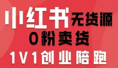 小红书无货源0粉电商课，开店准备、选品策略、笔记撰写、视频剪辑、数据分析、账号打造、资料文档(更新)-一世倾承云网创