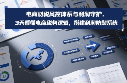 电商财税风控体系与利润守护，3天看懂电商税务逻辑，搭建利润防御系统-一世倾承云网创