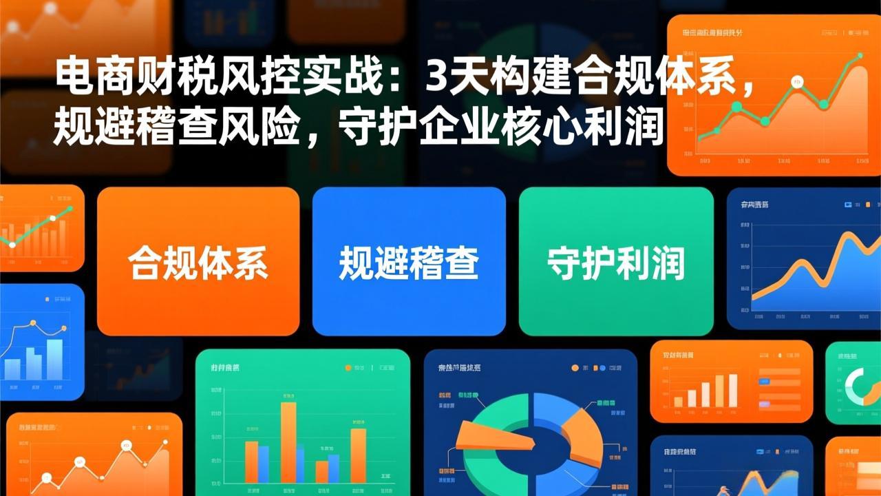 电商财税风控实战：3天构建合规体系，规避稽查风险，守护企业核心利润-一世倾承云网创