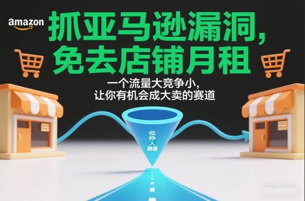 抓亚马逊漏洞，免去店铺月租，一个流量大竞争小，让你有机会成大卖的赛道-一世倾承云网创