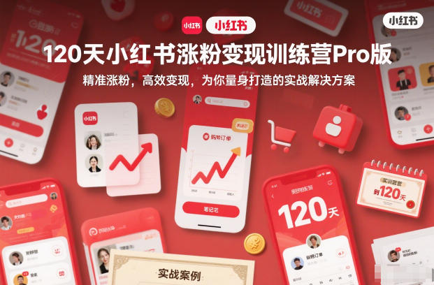 120天小红书涨粉变现训练营Pro版，精准涨粉，高效变现，为你量身打造的实战解决方案-一世倾承云网创